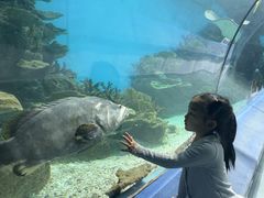 -福州罗源湾海洋世界旅游区