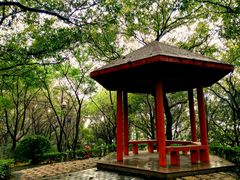 -上海市保健医疗中心(华东疗养院)