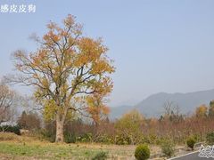 -塔川景区