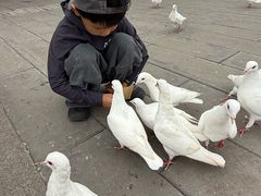 -天津妈祖文化园