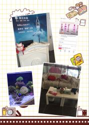 薇兰国际专业脱毛-薇兰专业脱毛连锁机构