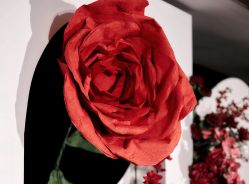 -明典婚礼策划·婚车租赁·婚纱摄影