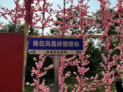 -香山公园