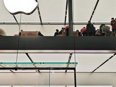 -Apple零售店(成都太古里店)