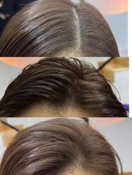 点击看大图 -IP SALON