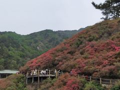 -木兰云雾山