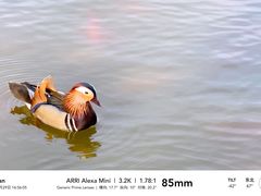 -中国农业博物馆