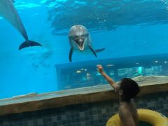 -波塞冬旅游度假区