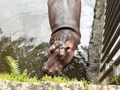 -海南热带野生动植物园
