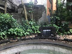 -海口观澜湖火山温泉谷