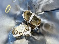 -阳澄湖大闸蟹·琼灵阁牌品牌连锁(吴中总店)