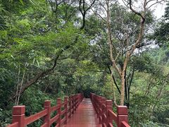 -广州白江湖森林公园