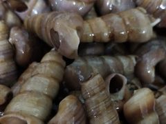 -宾朋海鲜美食特色餐厅·纯手工鲅鱼水饺(兴海路店)