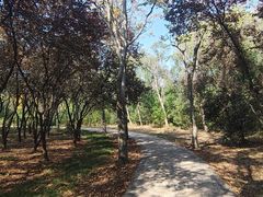 -昆山城市生态森林公园