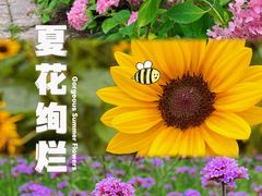 -上海滨江森林公园