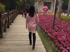 -广州市流溪河国家森林公园