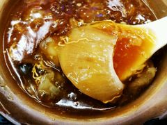招牌海参花胶大只翅-添發碗仔翅美食