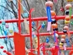 -黑龙潭风景区