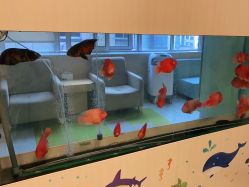 -杭州贝瑞斯美华妇儿医院·早孕·产检·儿科