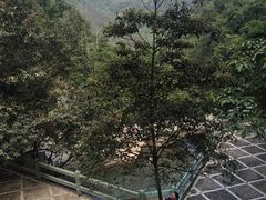 -四会奇石河风景区