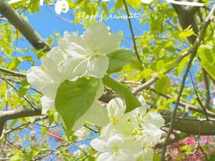 -海棠花溪(元大都城垣遗址公园)