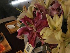 -施奈儿.洗头頭療.按摩SPA.采耳(上梅林店)