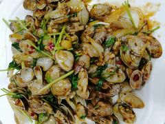 辣炒花蛤-烁佳海鲜大馅饺子