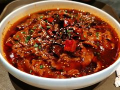 -新侨小馆(东直门北小街店)
