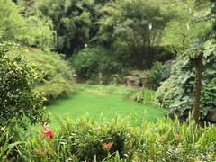 -龙头寺公园