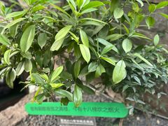 -重庆十八梯传统风貌区