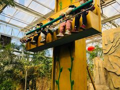 -南宫五洲植物乐园