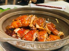 陶陶居百年烧鹅-陶陶居酒家(环市东店)