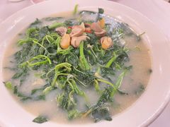 上汤苋菜-朱仔记食府(江南大道店)