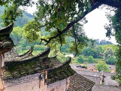 -杨家堂村