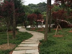 -广州市帽峰山景区