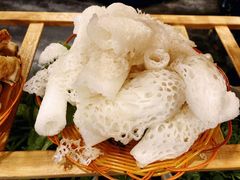 -易门野生菌府·菌海森林(月牙潭公园店)