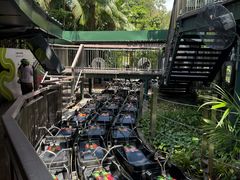 -圣淘沙天际线斜坡滑车