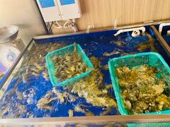 水产区-船歌·鱼水饺青岛菜(金狮广场店)