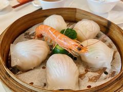 和苑招牌虾饺-和苑·精致粤菜(珠江新城店)