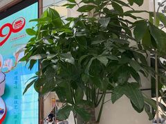 -广州酒家(昌岗地铁站店)