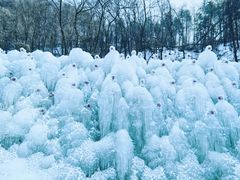 -秦岭终南山世界地质公园翠华山景区