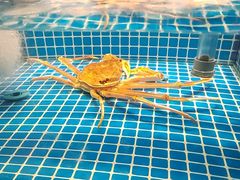 -和和小厨