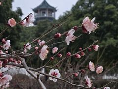 -无锡梅园公园