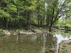 -嘉北郊野公园
