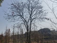 -凤凰沟景区
