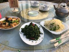 -特种渔场