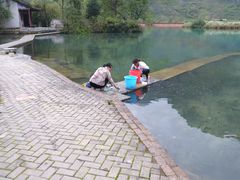 -靖西鹅泉风景区