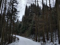 -武陵山森林公园