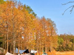 -青龙山国家森林公园