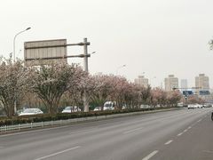 -星巴克臻选(天津鲁能中心一店)